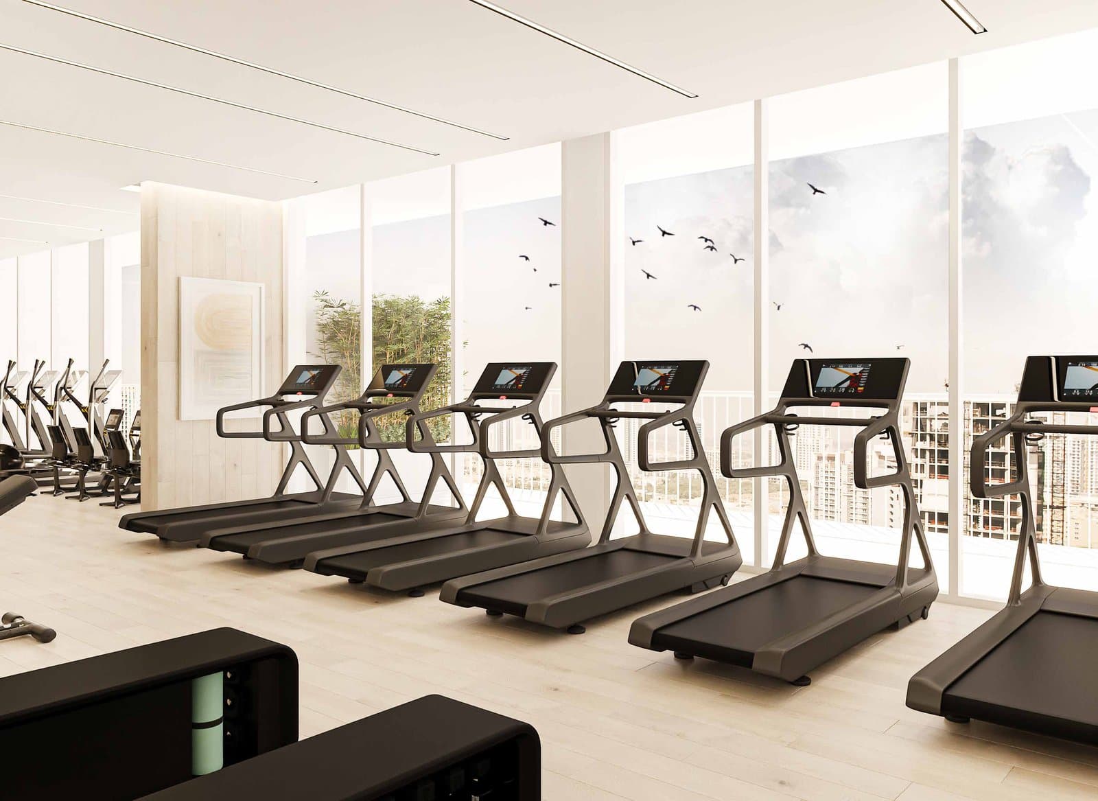 Luma Park Views — Gym